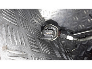 Топливная рампа 968529758002 Peugeot 2008 I