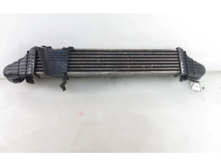 Интеркулер  2115001102, 2115001102   Mercedes-Benz E AMG W211 