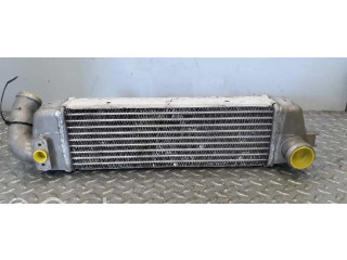 Интеркулер Tata Indica Vista I 1.4