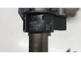 Vstřikovač 7800123, 0445010617 BMW 5 GT F07 pro naftový motor 3.0