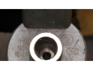 Форсунка 0445110062 Citroen Xsara для дизельного двигателя 2