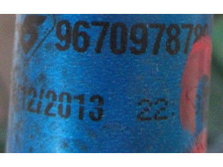 Топливная рампа 9670978780   Citroen C3   для двигателя SILNIK KOMPLETNY 10JBFM