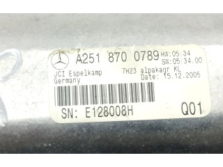 Дисплей A2518700789 Mercedes-Benz R W251