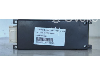 Блок управления 966509968001 Citroen C4 I