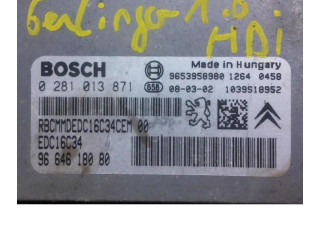 Řídící jednotka 1943J3, 1943J3 Citroen Berlingo 2008