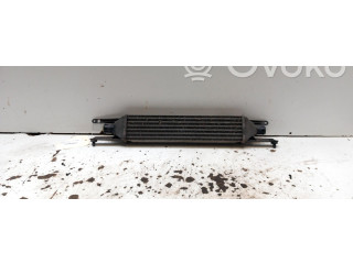 Интеркулер 55702237 Fiat Grande Punto