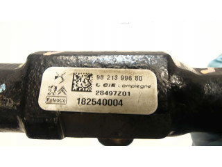 Vstřikovací lišta 9821399680 Peugeot 5008 II