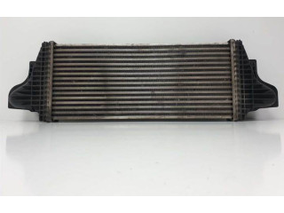 Интеркулер A2515000000 Mercedes-Benz R W251