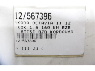 Поршень Skoda Octavia Mk2 (1Z)