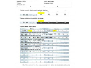 Форсунка 166008399R    Renault Clio IV   
