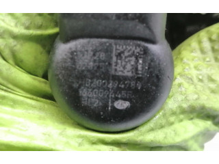 Форсунка H8200294788 Renault Clio III