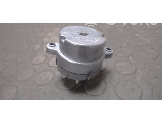 Подрулевой шлейф SRS 04828141, 9203018 Volvo C70