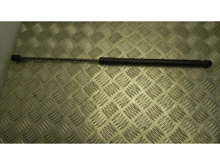 Пружина (пружины) задней крышки