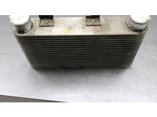 Интеркулер 4980622 Ford Ranger