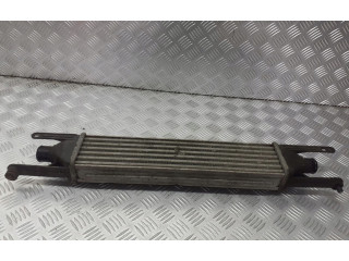 Интеркулер     Fiat Punto (188) 