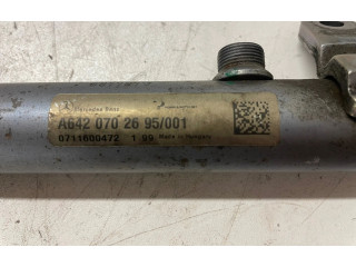 Vstřikovací lišta A6420702695, 0281002504 Mercedes-Benz S W221