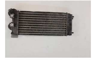 Интеркулер     Citroen Berlingo 