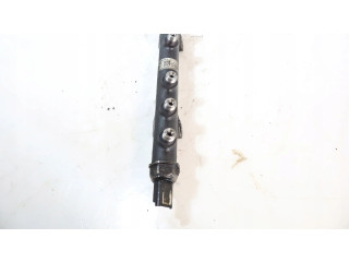 Vstřikovací lišta Citroen Berlingo