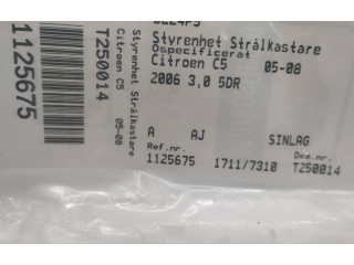 Блок управления Xenon