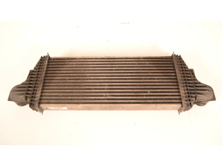 Интеркулер A2515000000 Mercedes-Benz R W251