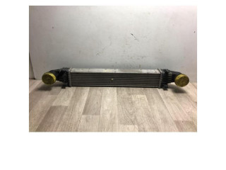 Интеркулер  2115001102, 2115001102   Mercedes-Benz E AMG W211 