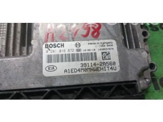 Блок управления двигателем Блок управления 0281016872, 391142A560 KIA Ceed