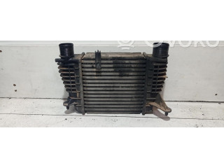 Интеркулер     Renault Clio III 