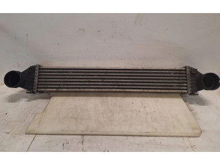 Интеркулер  A1695000000   Mercedes-Benz A W169 