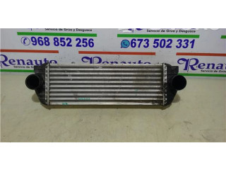 Интеркулер     Ford Transit -  Tourneo Connect 