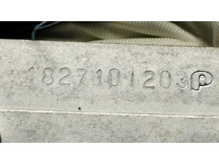 Подушка безопасности пассажира 1827101203, 7579101195   Audi A6 Allroad C5