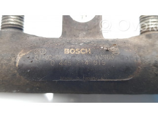 Топливная рампа 0445214019 Citroen Xsara Picasso 2.0