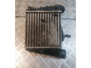 Интеркулер 6Q0145804A Skoda Fabia Mk2 (5J)