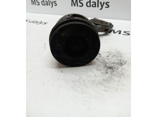 Píst A6110300320, A6130300117 Mercedes-Benz S W220