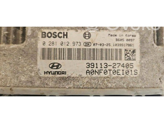 Блок управления двигателя 3911327405, 0281012973   Hyundai Sonata