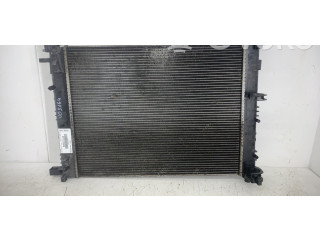 Боковая подушка безопасности 214107326R   Dacia Sandero