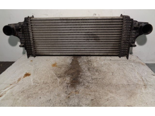 Интеркулер  A1645001900, N3292001BEHR   Mercedes-Benz R W251 