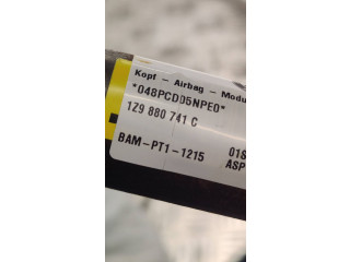 Боковая подушка безопасности 1Z9880741C, BAMPT11215   Skoda Octavia Mk2 (1Z)