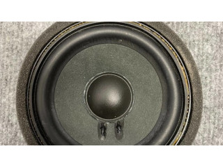 Громкоговоритель (громкоговорители) в передних дверях