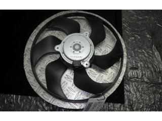 Вентилятор радиатора 211220907 Renault Clio III