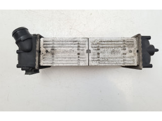 Интеркулер 876923JF, 9648551880 Peugeot 307 1.6