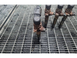 Жиклер (жиклеры) (форсунка (форсунки) 166006212R, H8201100113   Dacia Duster    