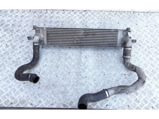 Интеркулер  14461JG70C, P3578003   Nissan X-Trail T31 