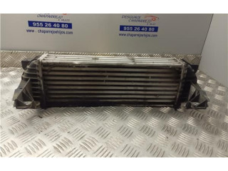 Интеркулер     Ford Transit -  Tourneo Connect 