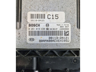 Řídící jednotka 0281016430, 391132A121 KIA Soul 2009