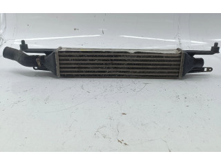 Интеркулер  866450000, AMASSADOFOTOS   Fiat Grande Punto 