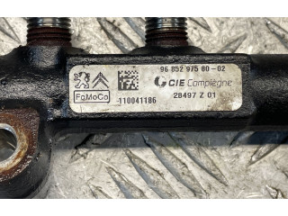 Vstřikovací lišta 9685297580, 110041186 Ford Fiesta