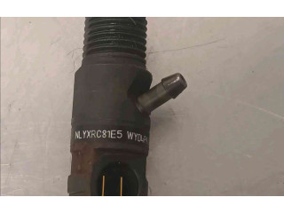 Форсунка 166000897R    Renault Clio III   