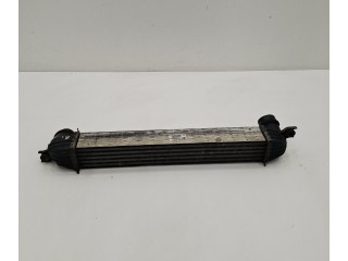 Интеркулер 8506904 Mini Paceman (R61)