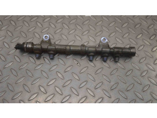 Vstřikovací lišta 494092, 0445214217 Fiat Punto (199) 199 B4.000