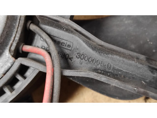 Вентилятор радиатора 300000801 Citroen C4 I 1.6